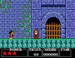 Castle of Illusion Starring Mickey Mouse (1990)